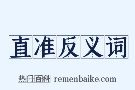 直准反义词是什么意思的图片